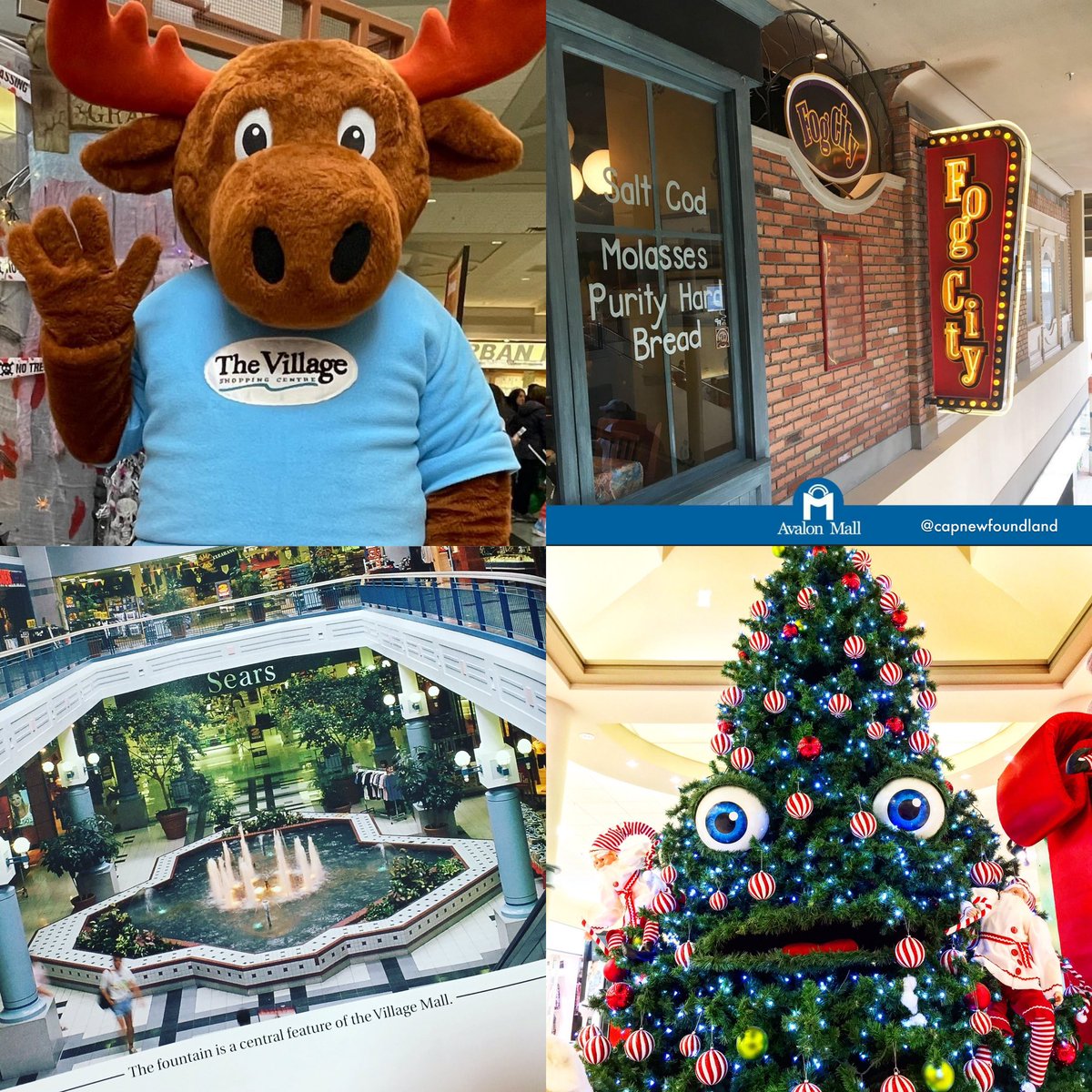 Capnewfoundland's tweet image. Good bye old friends.