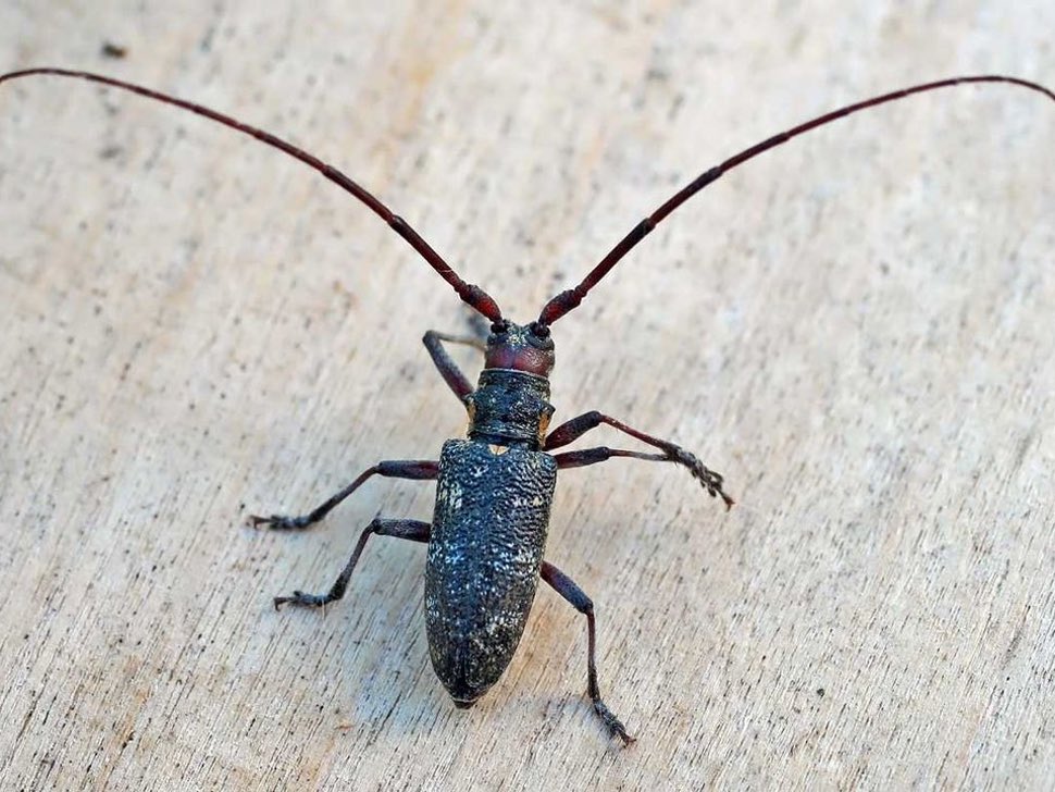 Justin Jenner tweet media