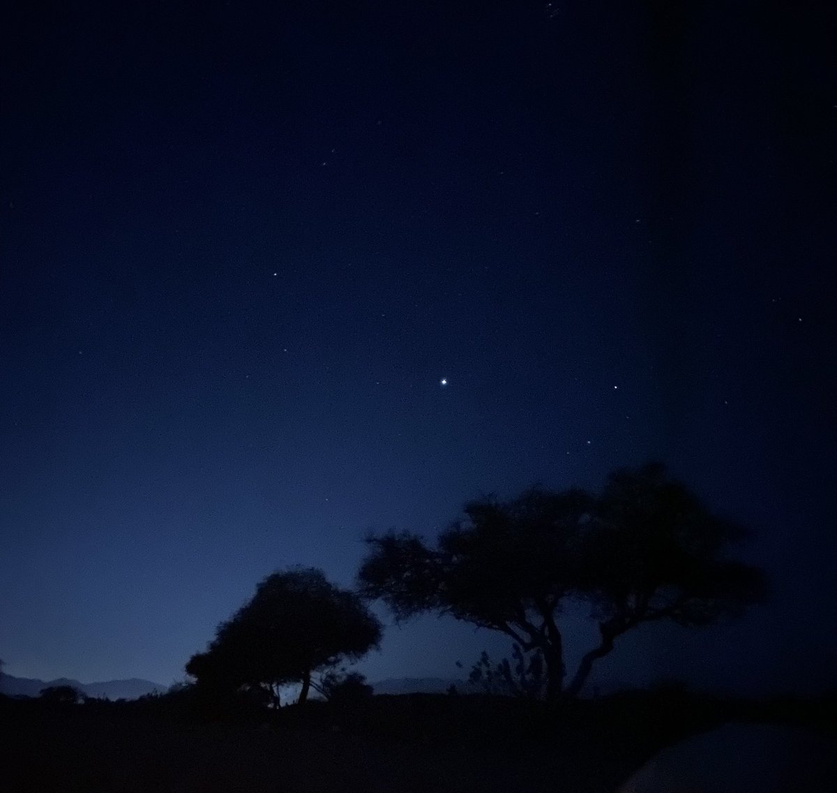 نـواف tweet media