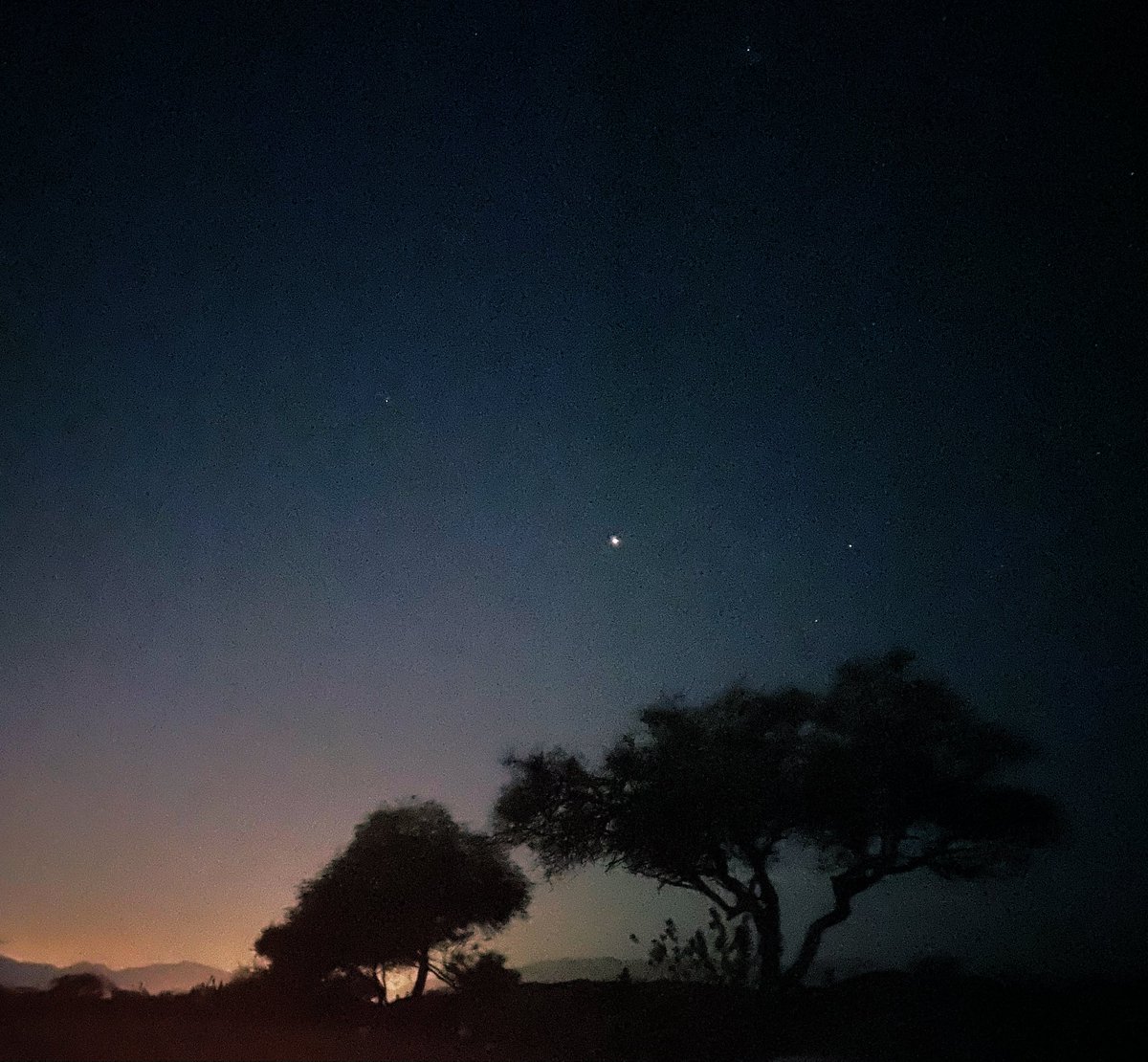 نـواف tweet media