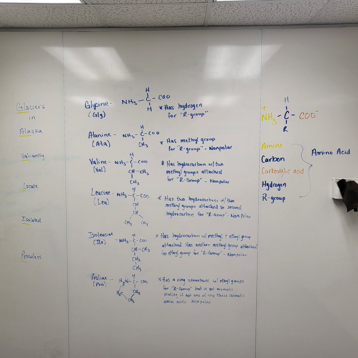 OCDavidJenkins's tweet image. Days off are for tutoring students in chemistry and studying amino acids for the MCAT!