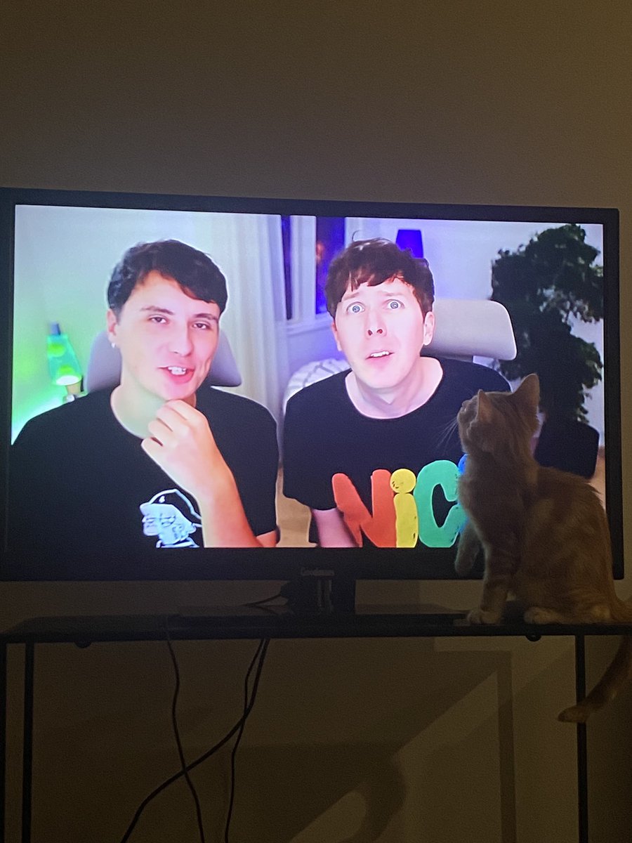 HoldichParis's tweet photo. @AmazingPhil rate nemo watching ur video https://t.co/R23fDCjShM