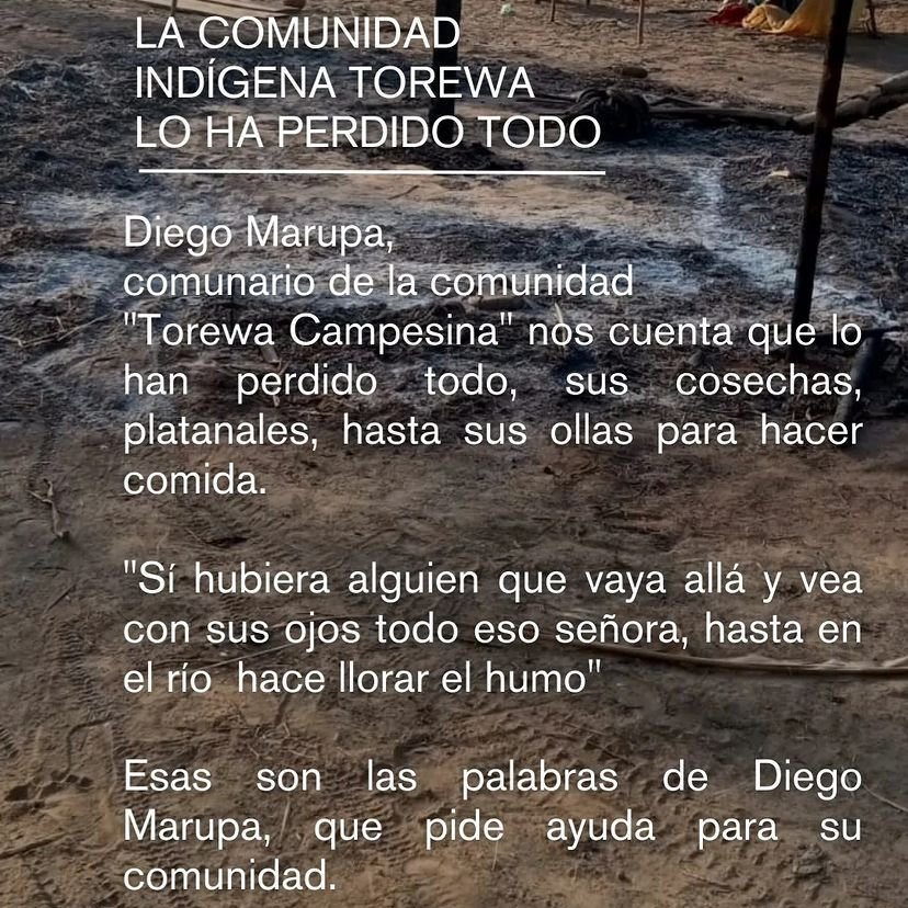 #Incendios en #Bolivia 2023  
Norte de La Paz y Beni  
Comunidad Torewa lo pierde todo  
20.11.23
Via SaveChiquitania