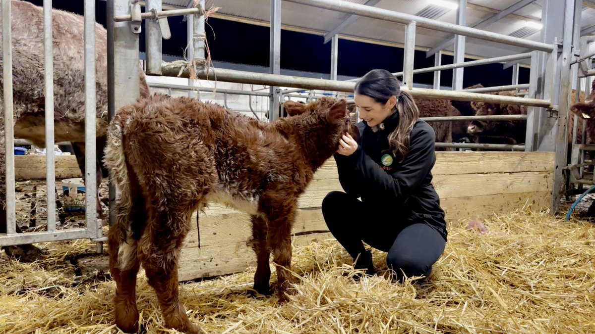 Niall Hunt tweet media