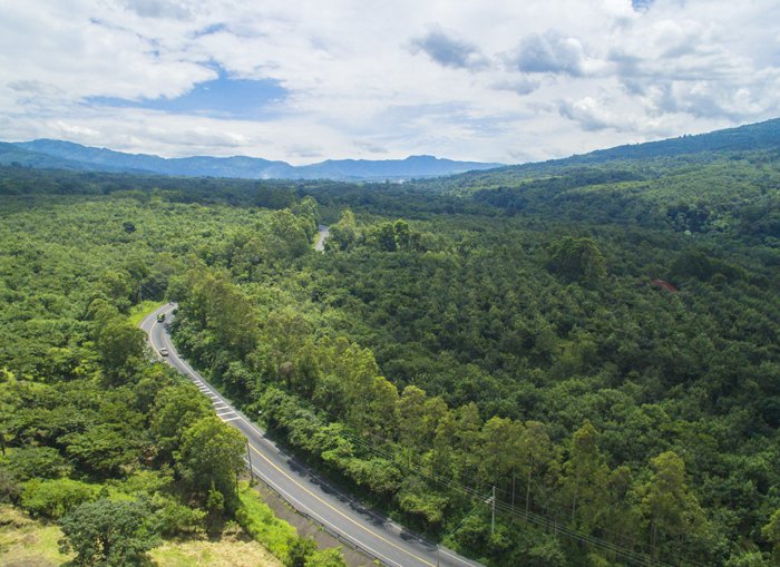 MinfinGT's tweet photo. #GestiónMinfin | El Ministerio de Finanzas Públicas ha destinado los fondos necesarios al @inabguatemala para el pago de los incentivos forestales #PINPEP y #PROBOSQUE. 

Infórmate más ⬇️: 
https://t.co/ftmJLkvlXB https://t.co/OHmTsSpDZ4