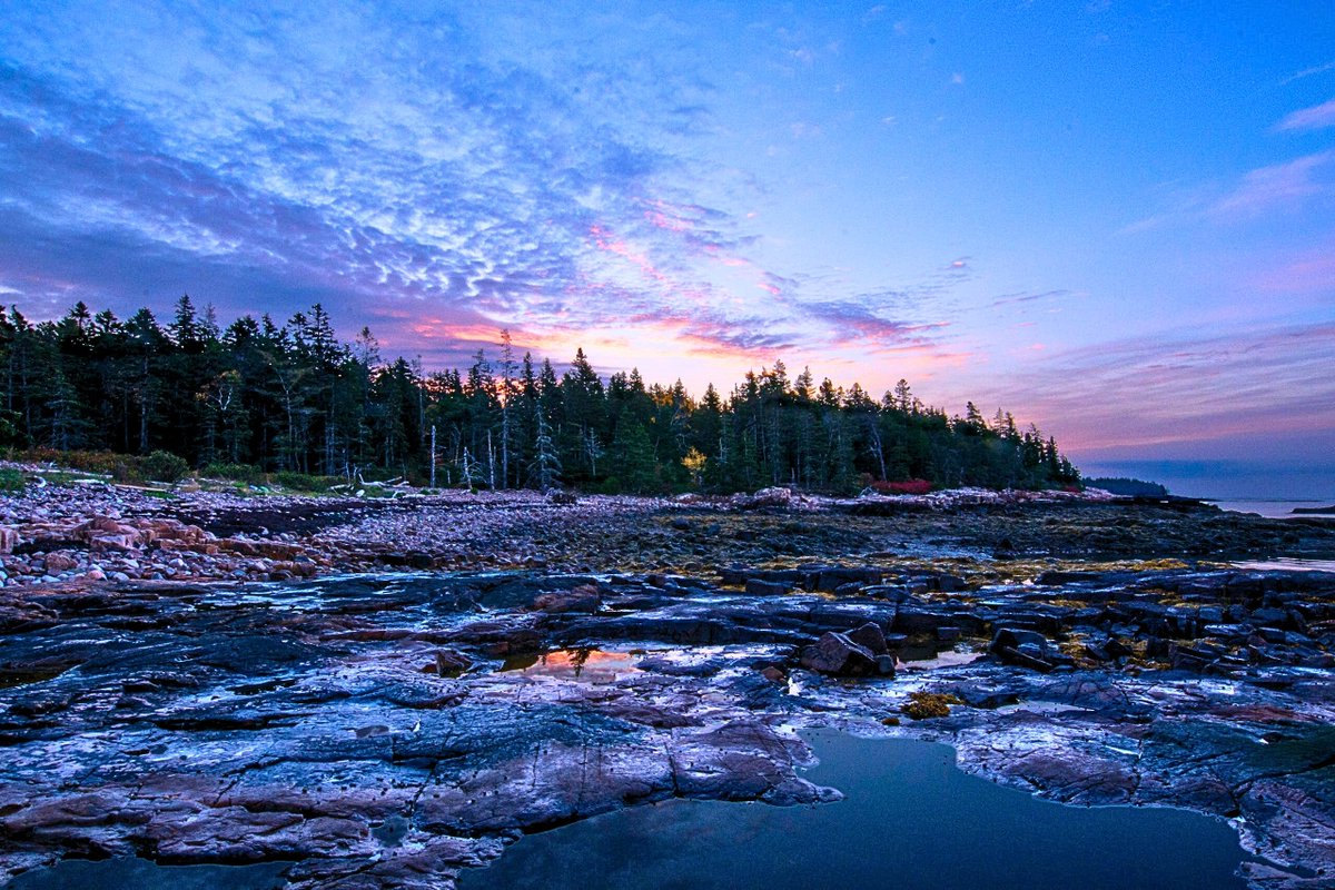 earthgudz's tweet photo. The #morning #shoreside and #lake, with a pristine #forest
#nature #photography #naturephotography #love #travel #photooftheday #beautiful #picoftheday #photo #instagram #naturelovers #art #landscape #like #follow #art #morning #sunhine https://t.co/gtyXm0ffai
