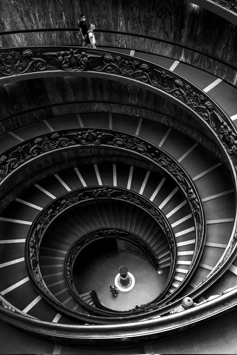 DIANA 💎 tweet media