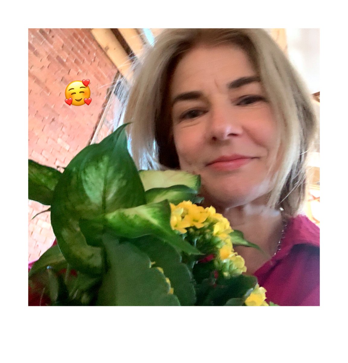 givelovingly's tweet photo. 🌸 A Heartfelt Thank You - There's nothing like the joy of receiving a living, blooming gift that grows with love and care. https://t.co/kl0wI93KJz