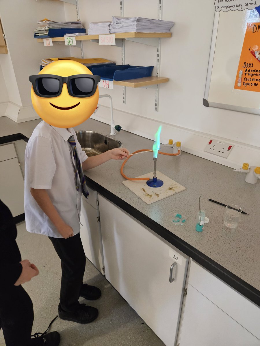 Mr Coyle tweet media