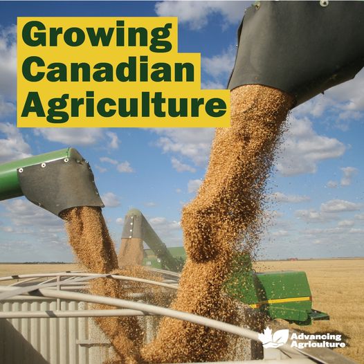 Canadian farmers are world-renowned as dependable suppliers of safe and nutritious food.
 
 Show your support for their hard work at advancingagriculture.ca

#AdvancingAgriculture