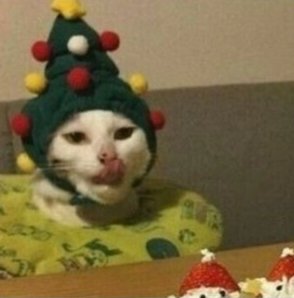Que se sentar el espíritu navideño 😍✨️