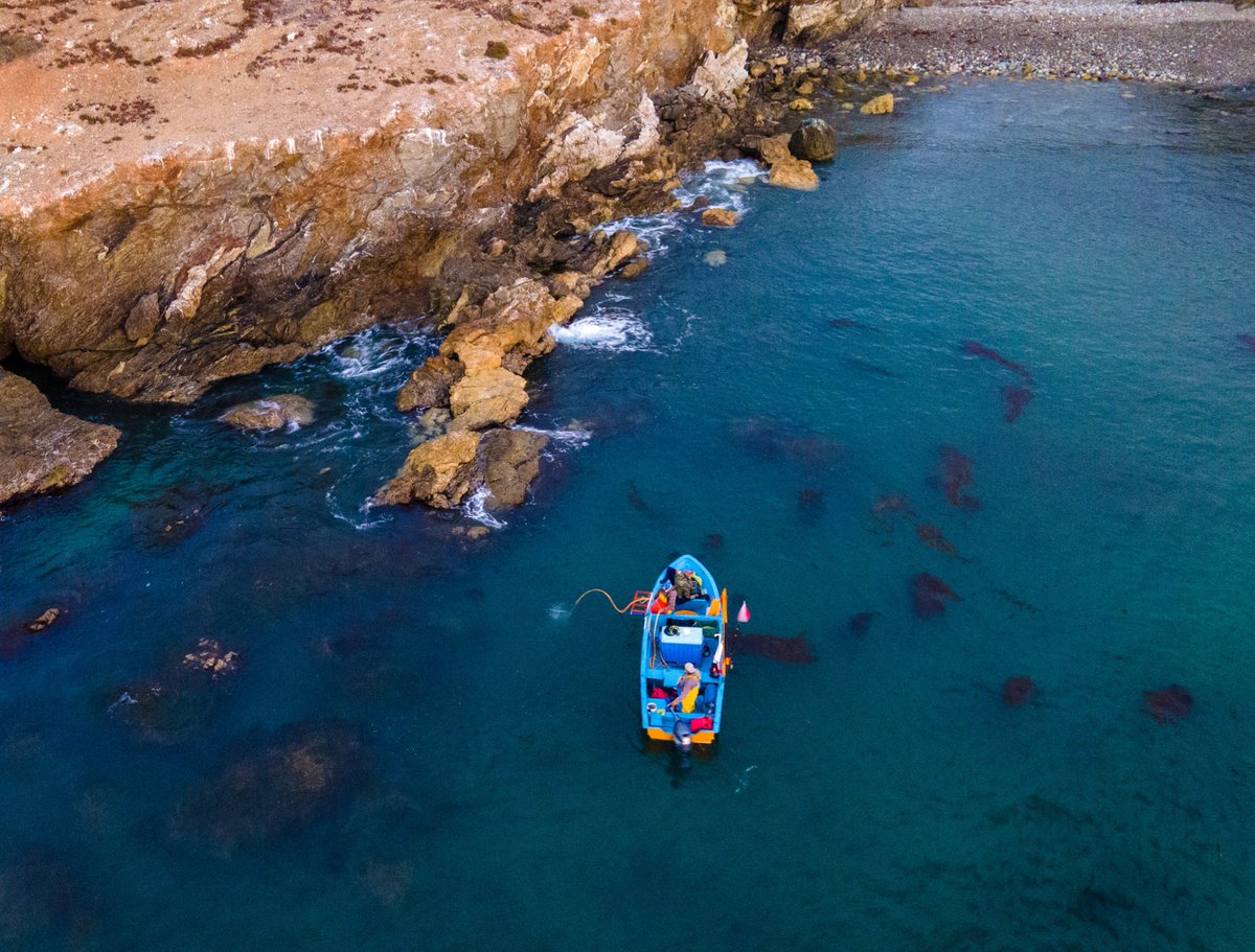 celina_dg's tweet photo. Hoy se conmemora el Día Mundial de la Pesca. Enhorabuena a los que se dedican a este noble y arriesgada actividad para proveer la proteína saludable a la mesa de los comensales nacionales e internacionales!!
#DiaMundialDeLaPesca
#pescasustentable https://t.co/2ff0QCb6xa
