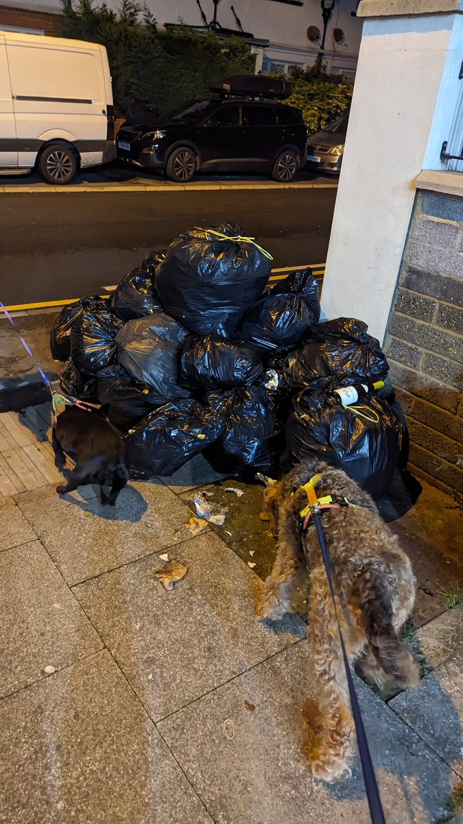 Lucy_Ware's tweet photo. @ContactKingston the rubbish outside the shops on Vale Parade in Kingston Vale is a hazard. It is obstructing the pavement + rats are getting into the bags and distributing rubbish all over the street, inclusive of condoms etc. It is a common occurrence + needs sorting ASAP! https://t.co/VBAGc8ZVEs