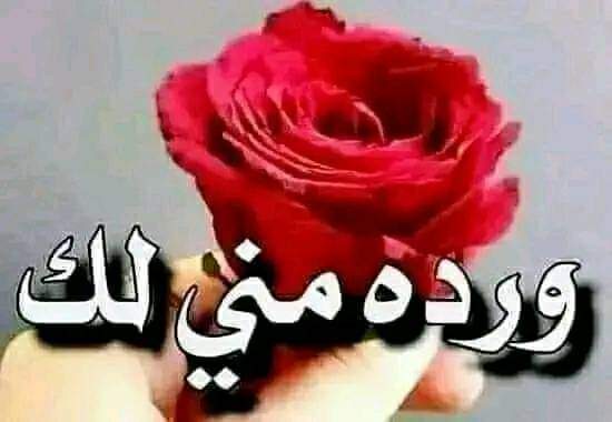 sham22590591's tweet photo. إني وإن قَطَعَ الغيابُ أواصري
              أحياكِ حُلْماً كالحقيقةِ عاطرا
وَ أَشَمُّ عِطرَكِ قادماً من غابري
             وَ أراكِ في الظُّلُماتِ بَدْراً سافرا
ما غبتِ عن عينِي ولا عن خاطري
            ما دام طيفُكِ في خيالي حاضرا
❤️💞❤️💞❤️💞❤️ https://t.co/JLJr1Ds8Rc