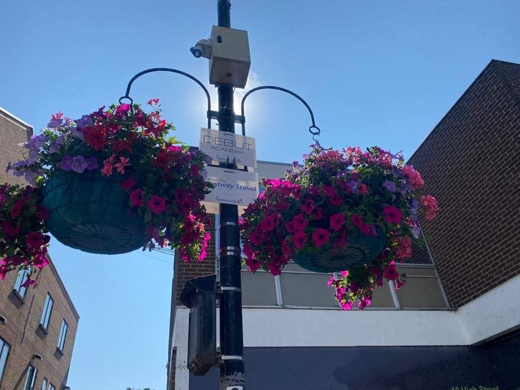 Wickford In Bloom tweet media