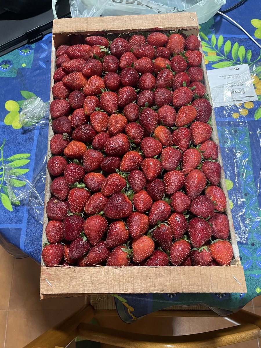 pmelhus's tweet photo. @ryangerritsen Too bad we can’t figure out how to get produce from the south to Canada. Bought these strawberries at the side of the road in northern Argentina. 4 kg for 1,500 pesos. Which works out to $2 CAD. Delicious! https://t.co/YLVpJy2vzu