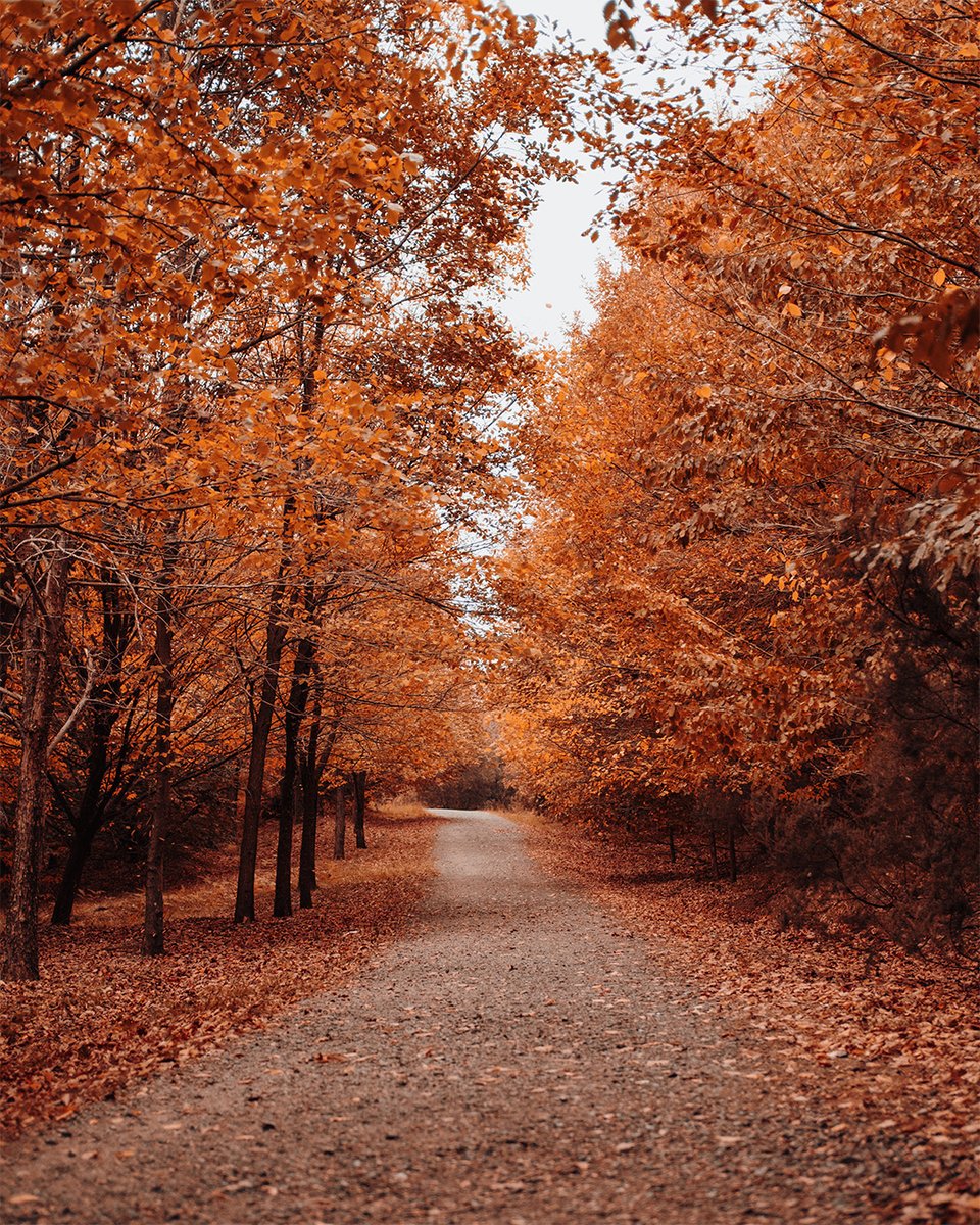 RealJackHibbs's tweet photo. Thanksgiving is to be characteristic of the believer’s life. The Bible even commands it. “In everything give thanks; for this is the will of God in Christ Jesus for you.” (1 Thessalonians 5:18). While relief from our earthly afflictions may be yet future, remember that Christ released us from the ravages of sin. May we not be counted among those who have accepted the miracle of salvation yet show little gratitude for it.