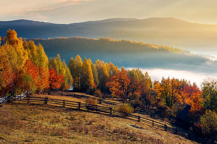 SESCRIBIR's tweet photo. 🍁 Fall's enchanting arrival: a canvas of warm hues, a symphony of rustling leaves, and the comforting aroma of spiced delights. Cozy sweaters, hot cocoa, and the magic of transformation—welcome, autumn! 🍂✨ #AutumnVibes #FallMagic https://t.co/0xUJftlY34