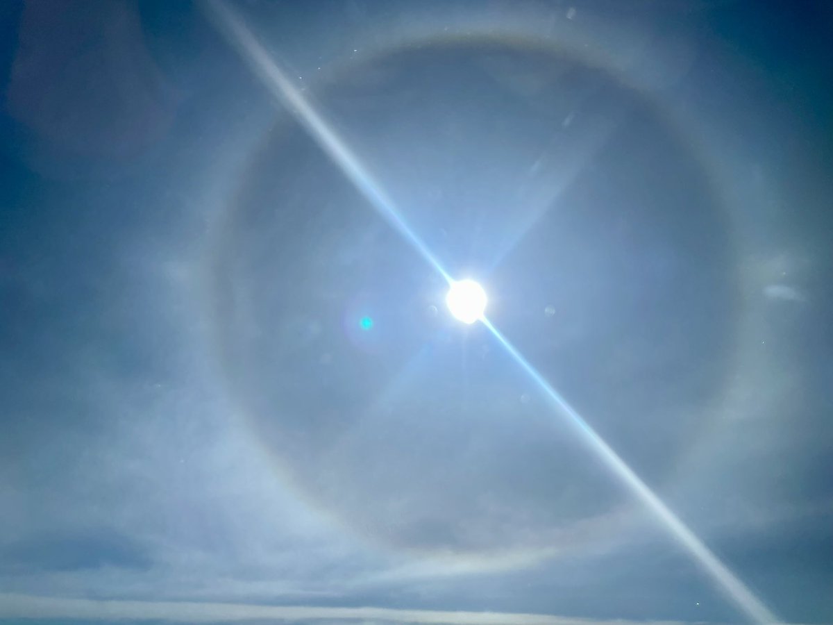 Perfect halo! #cowx #9wx