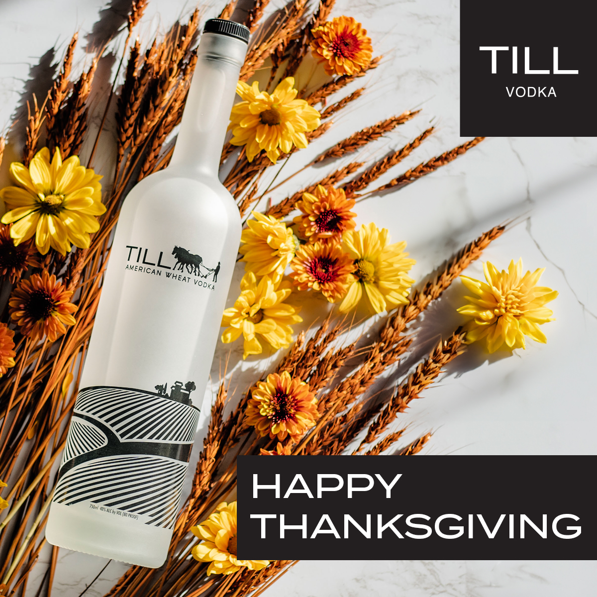 Happy Thanksgiving from your friends at TILL Vodka.