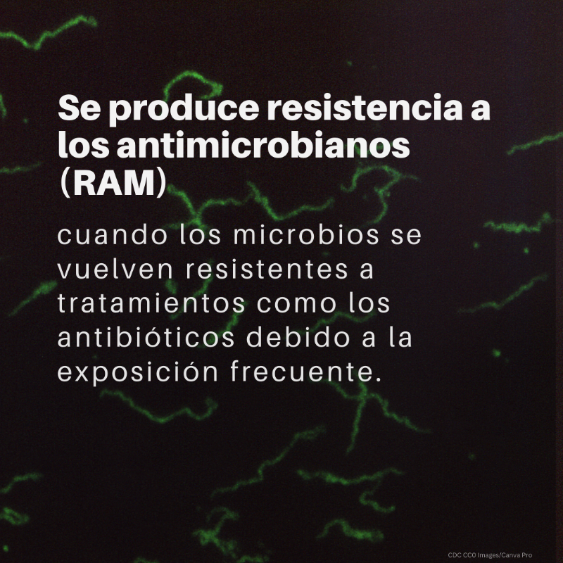 unep_espanol's tweet photo. La #ResistenciaAntimicrobiana supone una amenaza para la salud humana y animal, así como para el #medioambiente.

¿Qué es exactamente y qué factores aceleran su propagación?

Más información sobre la Semana Mundial de Concientización sobre los Antimicrobianos (@opsoms)