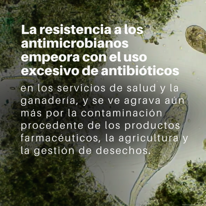 unep_espanol's tweet photo. La #ResistenciaAntimicrobiana supone una amenaza para la salud humana y animal, así como para el #medioambiente.

¿Qué es exactamente y qué factores aceleran su propagación?

Más información sobre la Semana Mundial de Concientización sobre los Antimicrobianos (@opsoms)