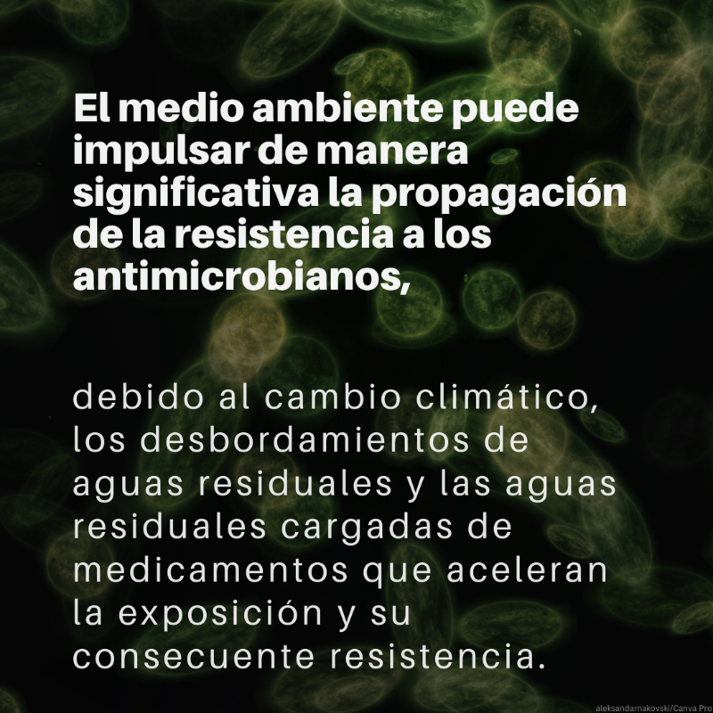unep_espanol's tweet photo. La #ResistenciaAntimicrobiana supone una amenaza para la salud humana y animal, así como para el #medioambiente.

¿Qué es exactamente y qué factores aceleran su propagación?

Más información sobre la Semana Mundial de Concientización sobre los Antimicrobianos (@opsoms)