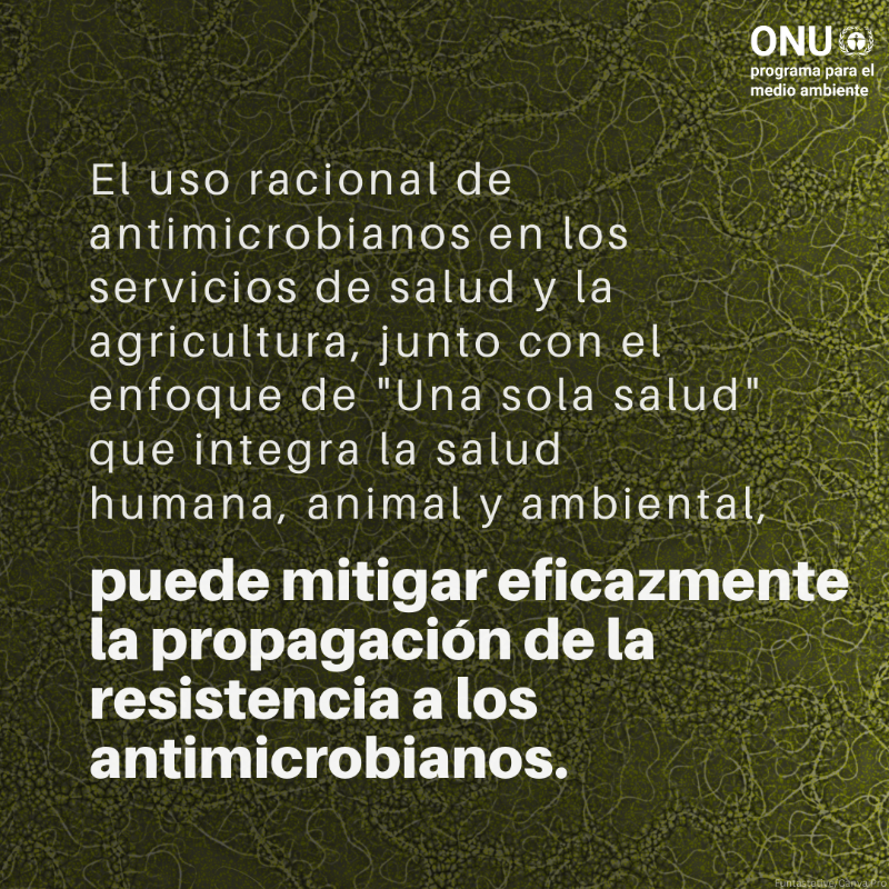 unep_espanol's tweet photo. La #ResistenciaAntimicrobiana supone una amenaza para la salud humana y animal, así como para el #medioambiente.

¿Qué es exactamente y qué factores aceleran su propagación?

Más información sobre la Semana Mundial de Concientización sobre los Antimicrobianos (@opsoms)