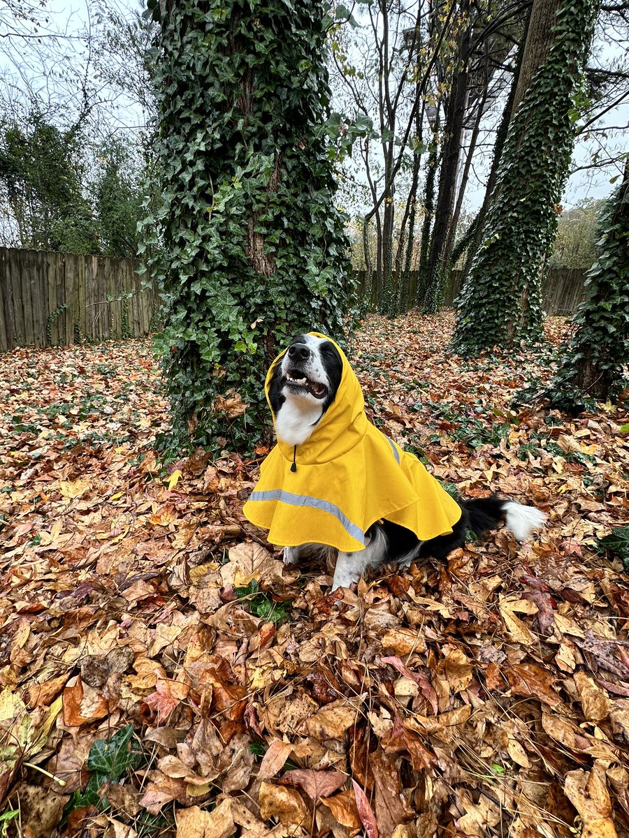 Te amo toda los días de mi vida, mi Amapola 💜