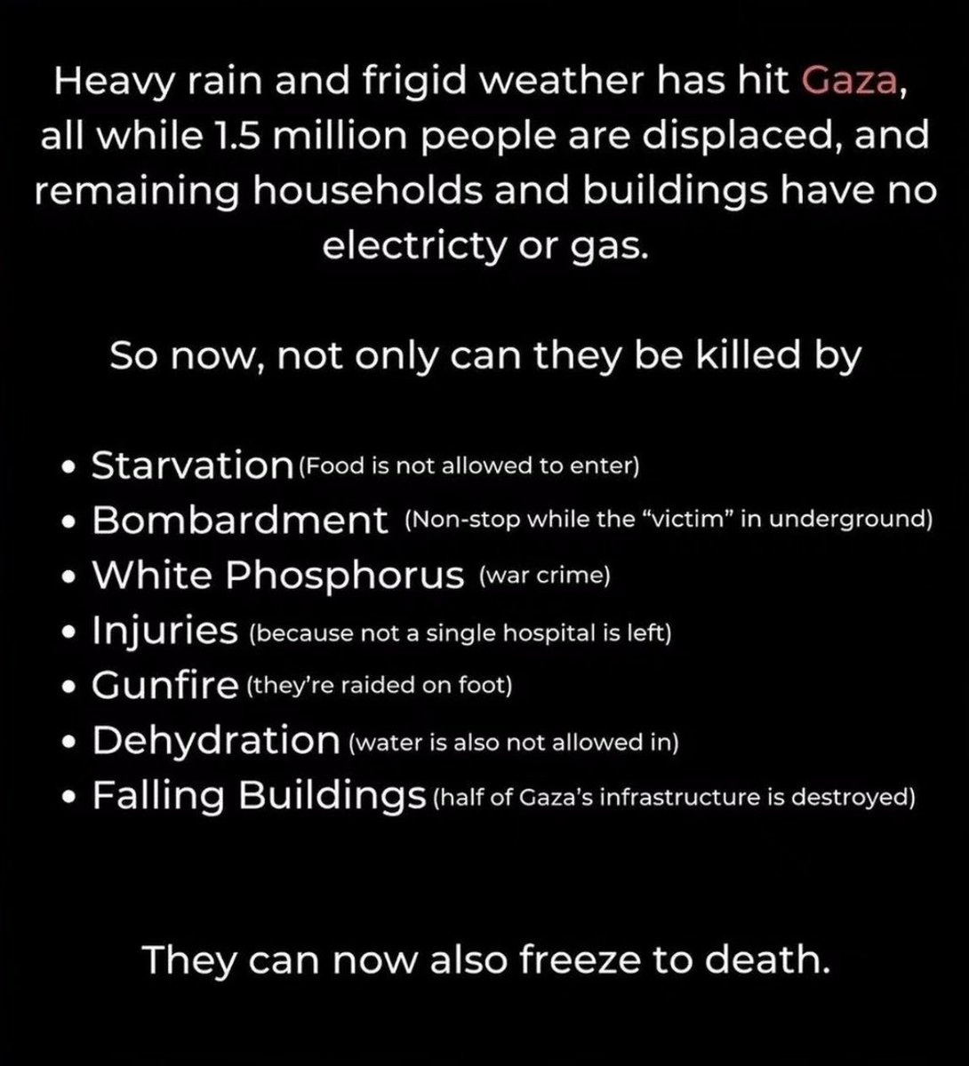 ClareScully88's tweet photo. They are not things or objects, they are people, they are children, they are babies, they are human beings for god sake!! They should not be collateral damage. #FreePalestine https://t.co/0IaKvR45jq