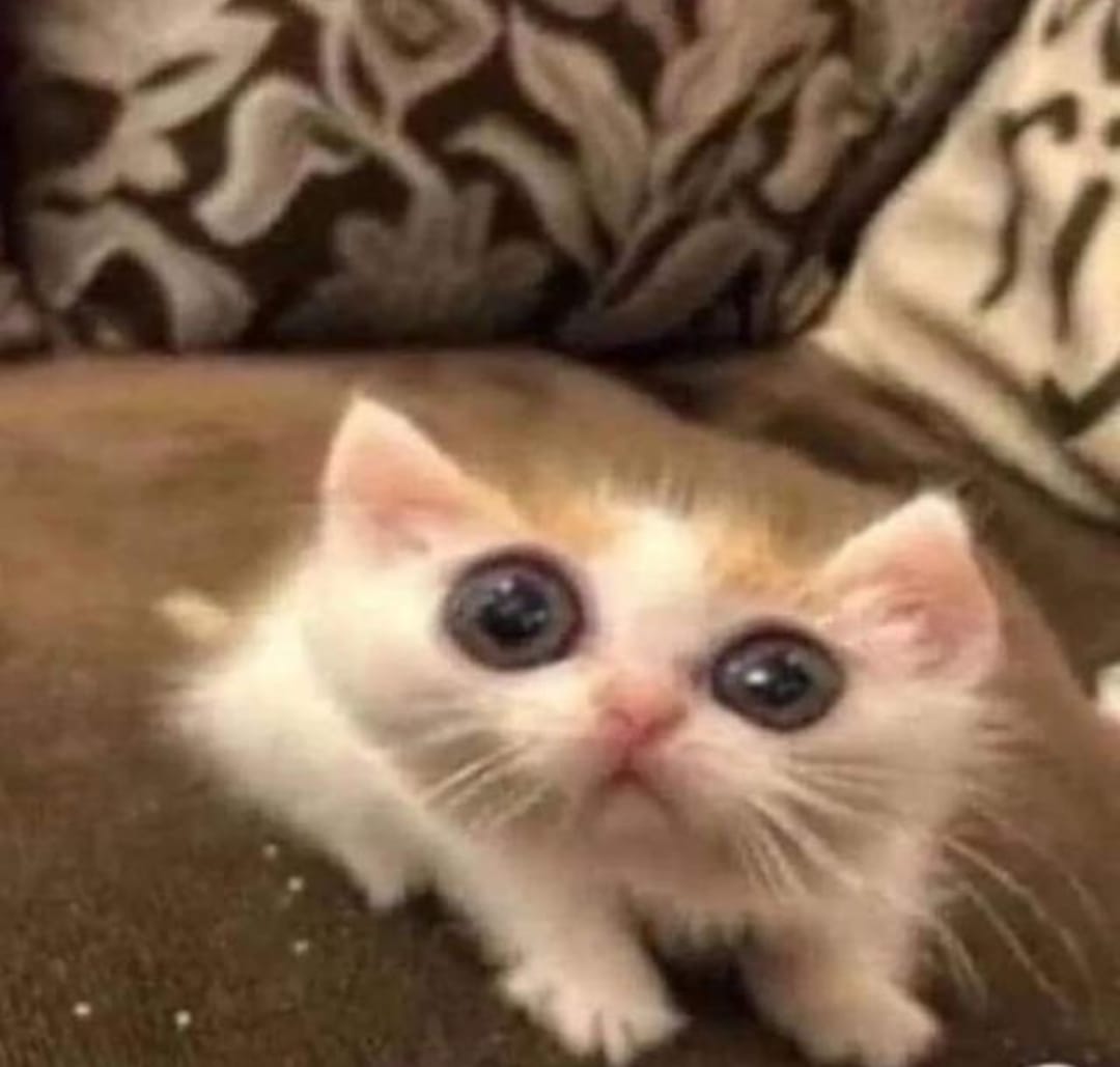 To jest ✨tuptuś✨