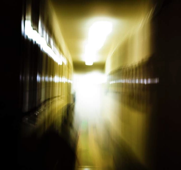 Also looking to start a weekly photography group in Hamilton during early 2024. Again, please get in touch for more details folks.