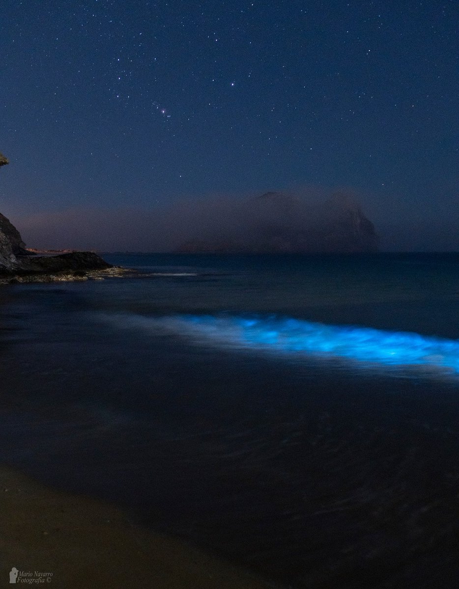 Mario17N's tweet photo. Este evento extraordinario de bioluminiscencia que hemos vivido en Águilas quedará para el recuerdo. Algunas imágenes de estos días. https://t.co/uSUEA4BfWO
