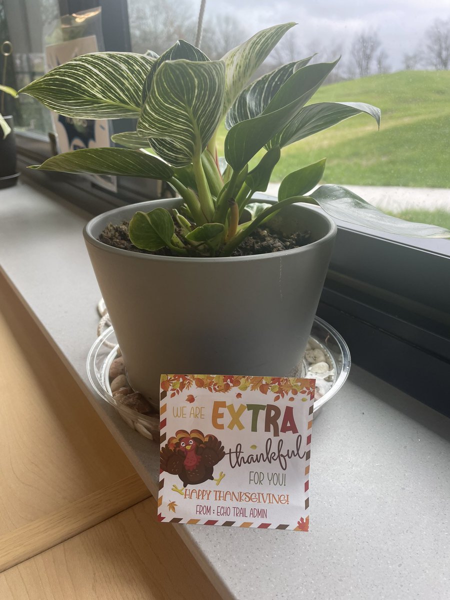 KaraJo_Ammerman's tweet photo. Turkey leg staff fun, thankful plates, extra (gum) grateful, and new additions to our office. Work doesn’t feel like work when you love the people you get to do it with. #ExpectgreaTness https://t.co/osj4rPhL0m