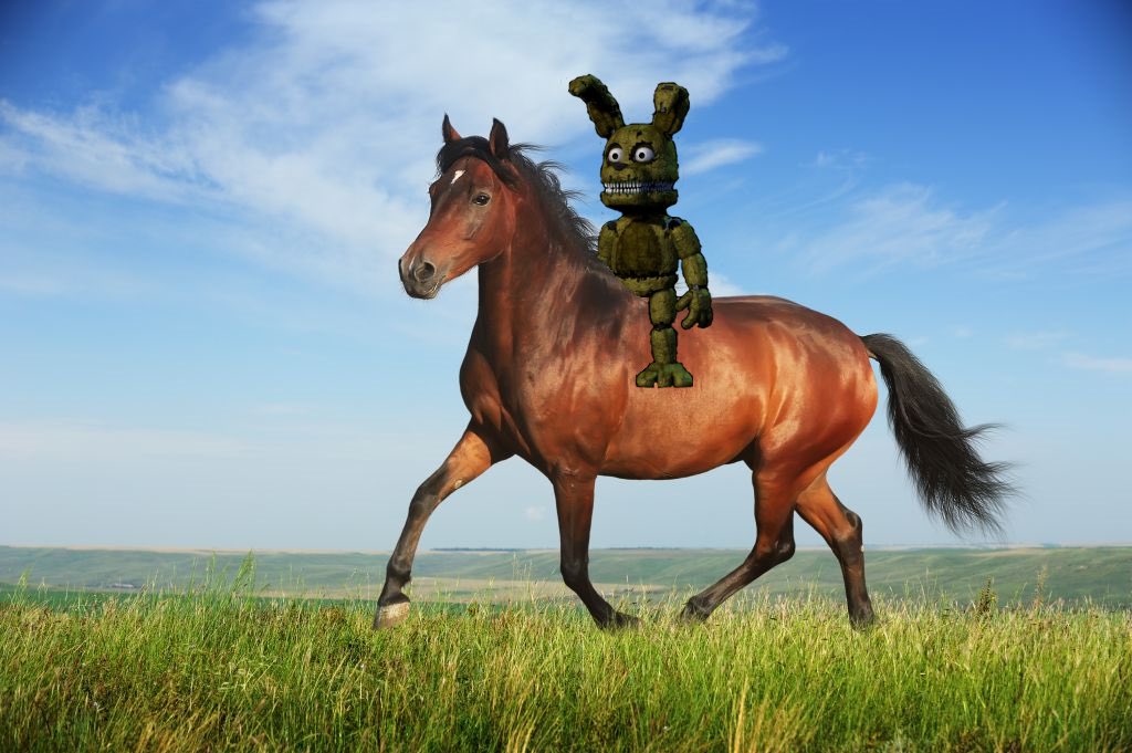 willyafton1987's tweet photo. I Always Come Back https://t.co/skvyznmhtz