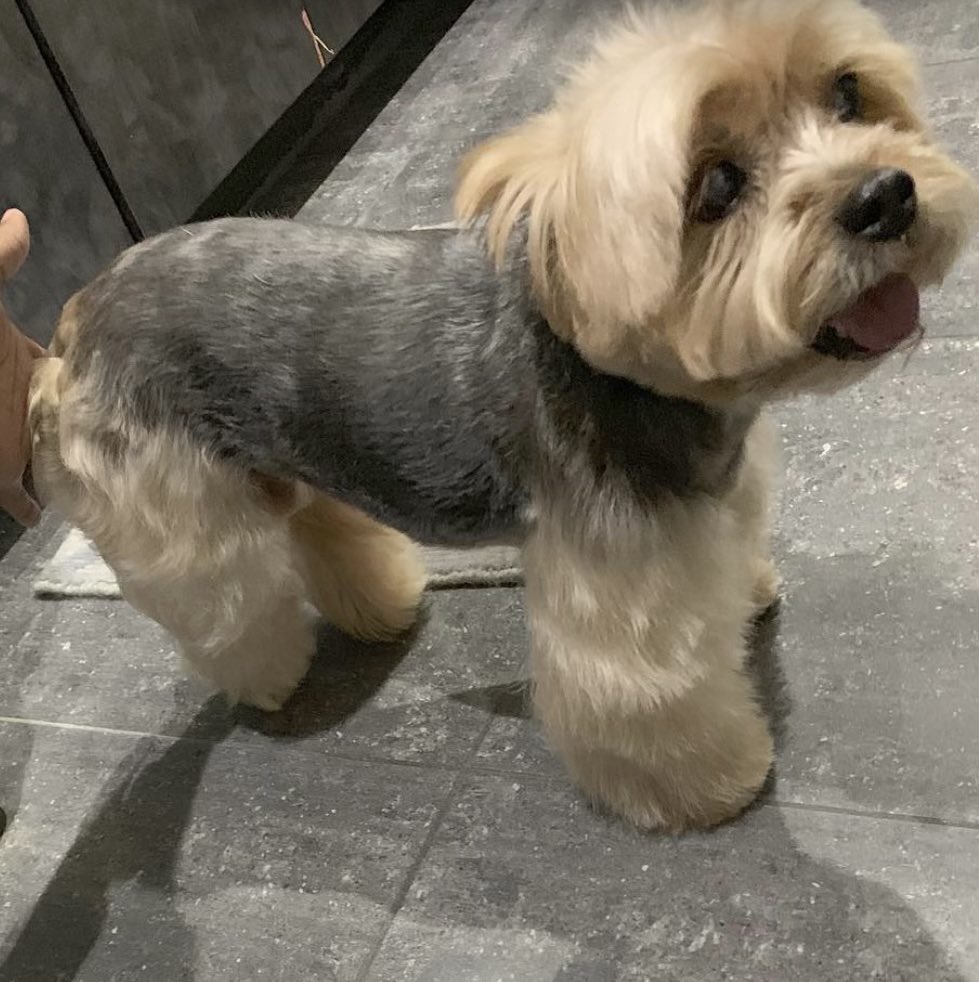 Missy Elliott tweet media