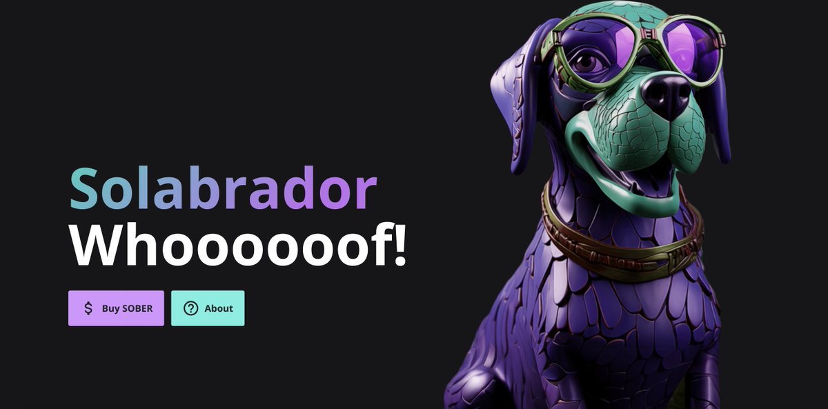 Solabrador (@solabrador) on Twitter photo 💰 Solabrador Giveaway 💰
To celebrate our phenomenal rise, we #giveaway
🏆 2x $50
To win
1⃣ Follow <a href="/solabrador/">Solabrador</a>
2⃣ Like, RTW this post
3⃣ Comment $SOBER and tag 3 friends
4⃣ Switch on notifications
Results in 24 hours! 💰 Solabrador Giveaway 💰
To celebrate our phenomenal rise, we #giveaway
🏆 2x $50
To win
1⃣ Follow <a href="/solabrador/">Solabrador</a>
2⃣ Like, RTW this post
3⃣ Comment $SOBER and tag 3 friends
4⃣ Switch on notifications
Results in 24 hours!