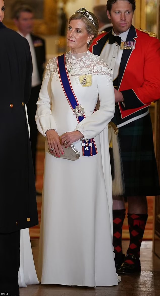 The Duchess of Edinburgh Sophie just looks amazing at the Korean banquet at Buckingham Palace ❤️❤️❤️❤️#SuperSophie #DailySophie #TheDuchessofEdinburgh #DuchessSophie #TheEdinburghs #SophieRhysJones #RoyalFamily