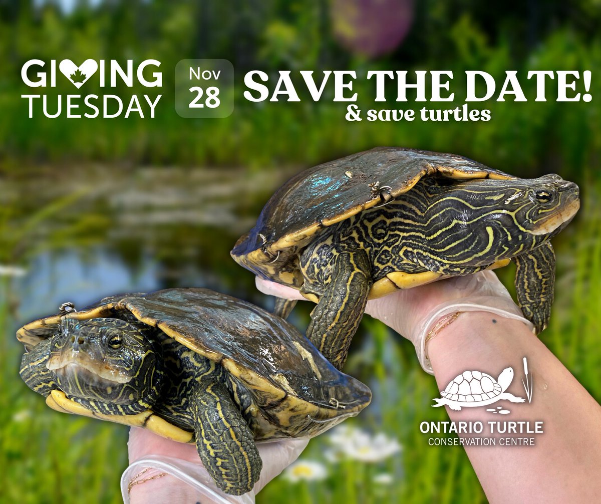 Giving Tuesday is coming up soon!!!