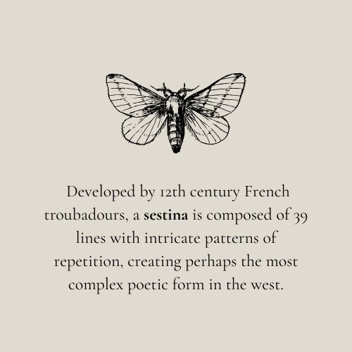 this weekend is our ✨ Sestina Form Study Salon ✨ join @sadqueer4life and I’s community writing workshop to learn how to compose a sestina, a complex poetic form comprised of intricate patterns and repetition 🦋DM to join! #poetryworkshop #writingworkshop #sestina