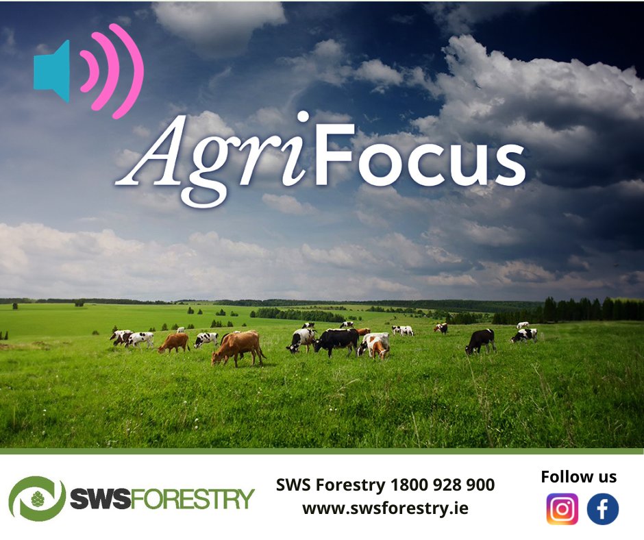 SWS Forestry tweet media