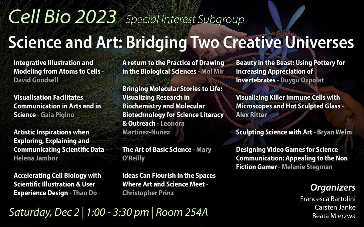 Thrilled to share the lineup of our #CellBio2023 #SciArt subgroup! Don't miss the opportunity to see some amazing talks by @dsgoodsell @GaiaPigino @helenajambor @molecularmirror @leonoramtzn @oreillymk @biyolokum @RitterLab @BryanWelm @MelanieAnnS, Thao Do & Christopher Prinz!