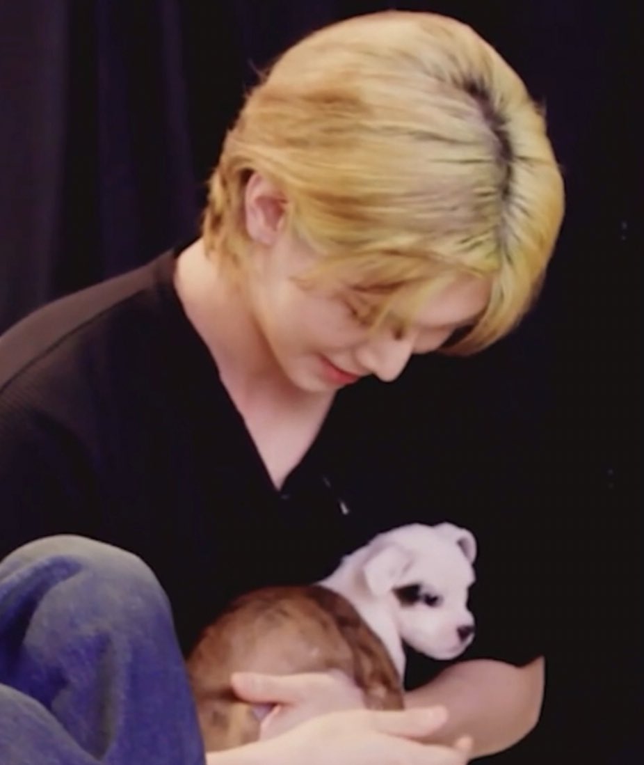 andfuckyeosang's tweet photo. yeosang and his puppy got birthmark at same fkn place I AM NOT OKAY https://t.co/pFOpLvk7xo