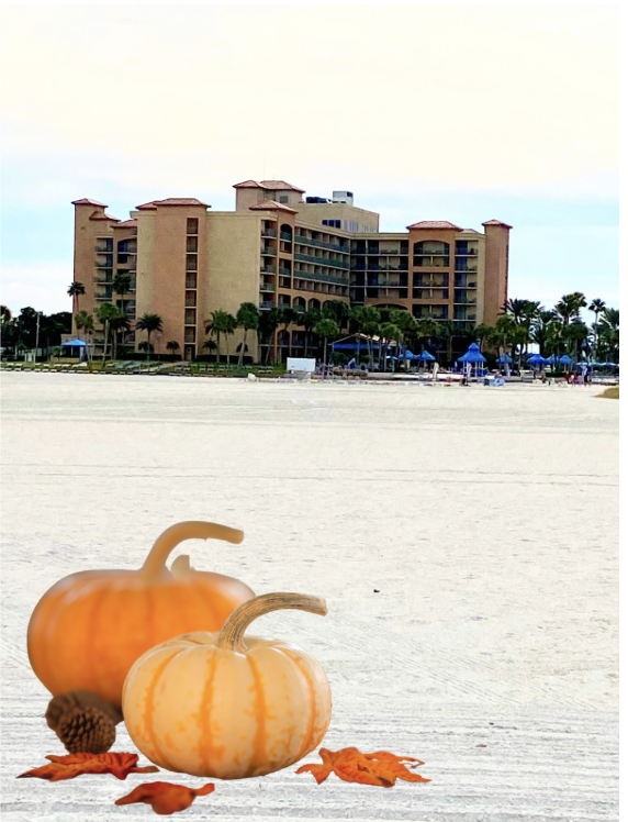 sandkeyresort's tweet photo. It's beginning to look a lot like --- Thanksgiving! Guests are arriving, relatives coming to meet them, and chef is preparing an awesome repast for our #RustysBistro. https://t.co/bRLXmQ7itt