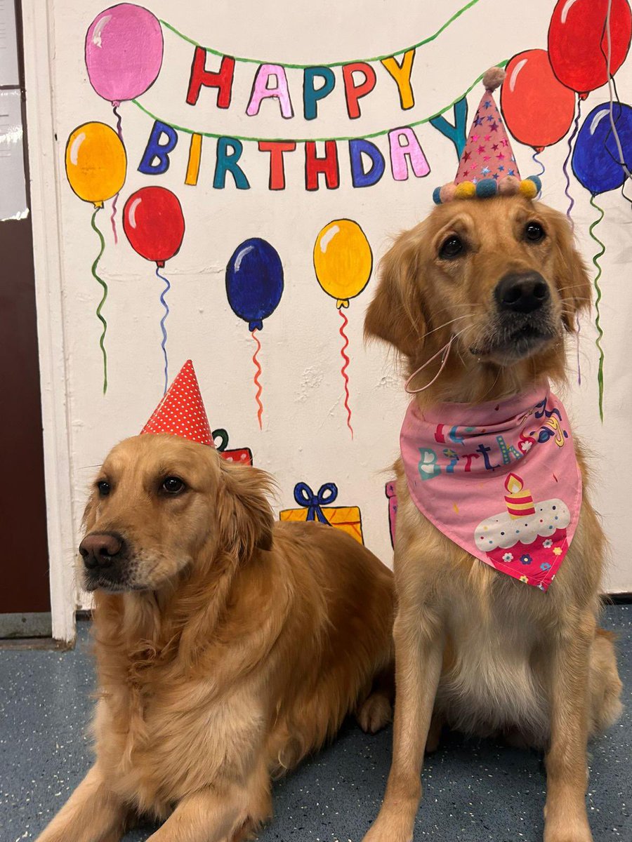 Wade Pryce tweet media