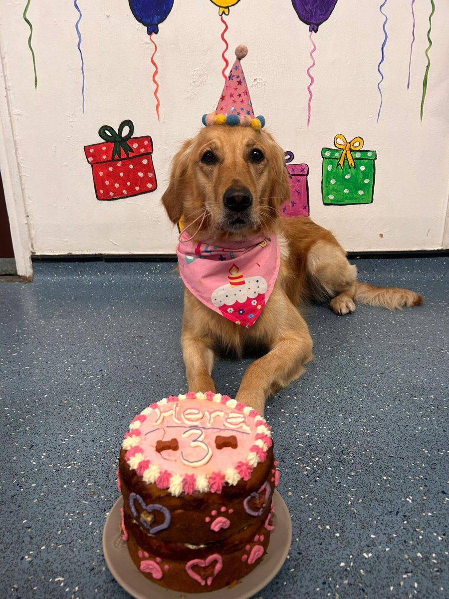 Wade Pryce tweet media