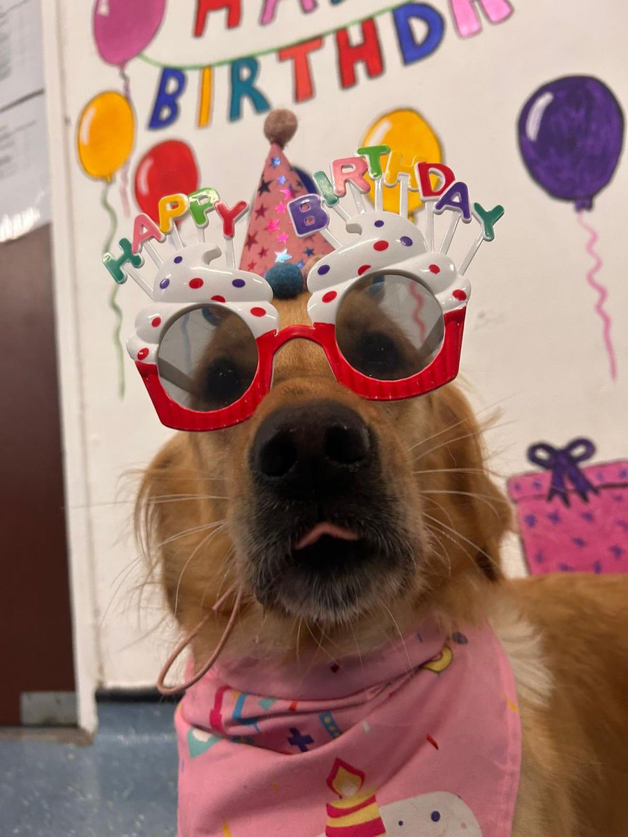 Wade Pryce tweet media