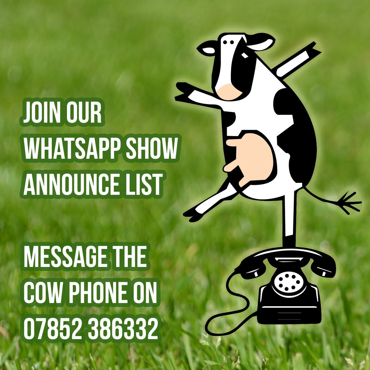 Join our new WhatsApp show announce list to be the first in the know about next years shows. Message the cow phone on O7852 386332 to join, or click this link api.whatsapp.com/send/?phone=%2… #latestmoos #cowphone #cutoutthemoodleman #cowtastic