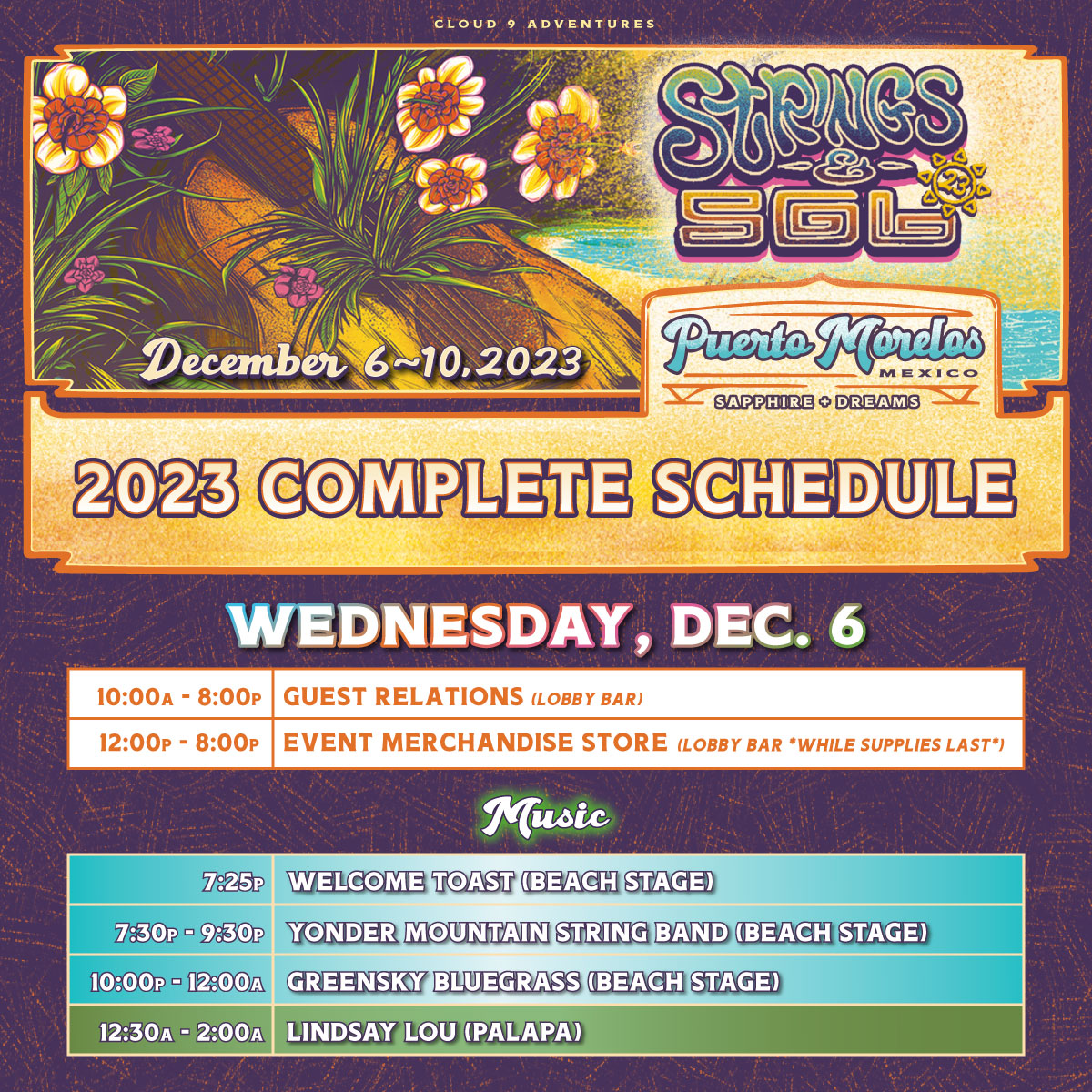 Strings & Sol tweet media