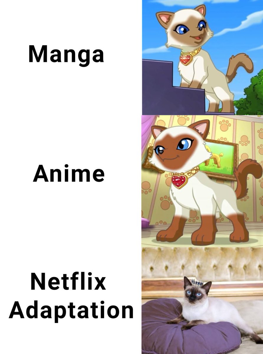 cutemanray's tweet photo. Netflix Adaptation Meme with Princess Ava and Princess Eva #PuppyInMyPocket #meme #princessava #princesseva https://t.co/aGz1VHuxN7